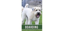 Country Club for Pets