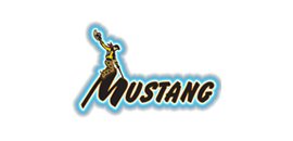 MUSTANG DRIVE IN