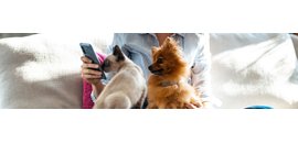 Bayridge Animal Hospital