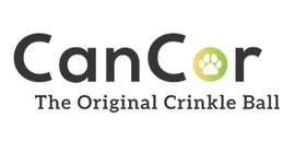 Cancor Innovations Inc