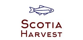 O'Neil Fisheries Ltd