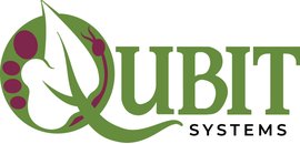 Qubit Systems Inc.