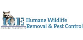 Innovative Care of the Environment