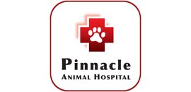 Pinnacle Animal Hospital