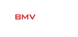 Bmv Optical Technologies Inc