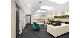 Alpha Massage Therapy And Wellness