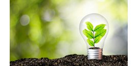 Global Energy Electric Ltd