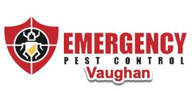 Emergency Pest Control Vaughan