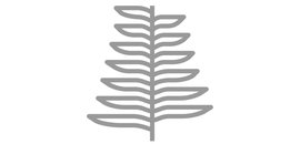 Silver Fern Stainless Ltd