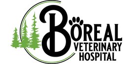 Thunder Bay, ON Veterinarian Animal Clinic