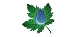 National Capital Irrigation Systems
