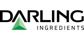 DARLING11