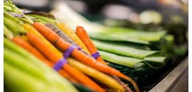 Homesteader Health Foods Ltd