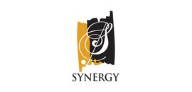 Synergy Performing Arts Academy