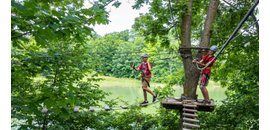 Treetop Trekking Hamilton