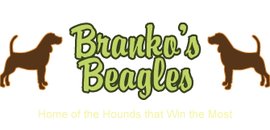 Branko's Beagles