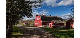 Douglas Lake Cattle Co