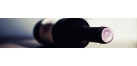Kootenay Winecrafters (2004) Ltd