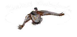 Birdtail Waterfowl Service