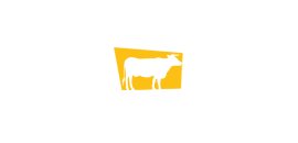 Cow Town Media