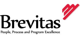 Brevitas Consulting Inc.