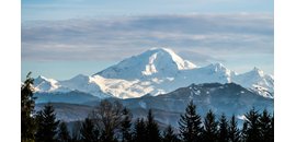 Darnell and Company, Lawyers, Law firm, Langley, BC