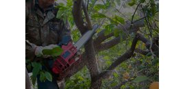 VanDyke's Tree Care Ltd