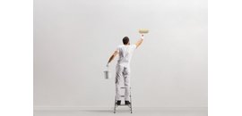 Pro Painters