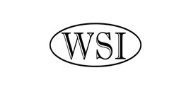 Warehouse Services Inc