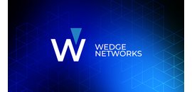 Wedge Networks