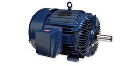 AC Motor Electric Ltd