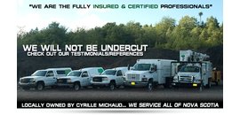 Access Tree Services Ltd