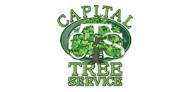 Capital Tree Service Inc.